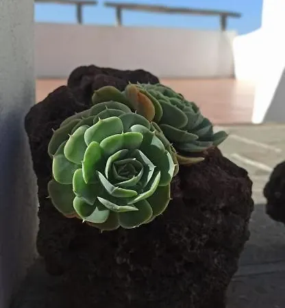 Daire Casa El Comisario El Tanque