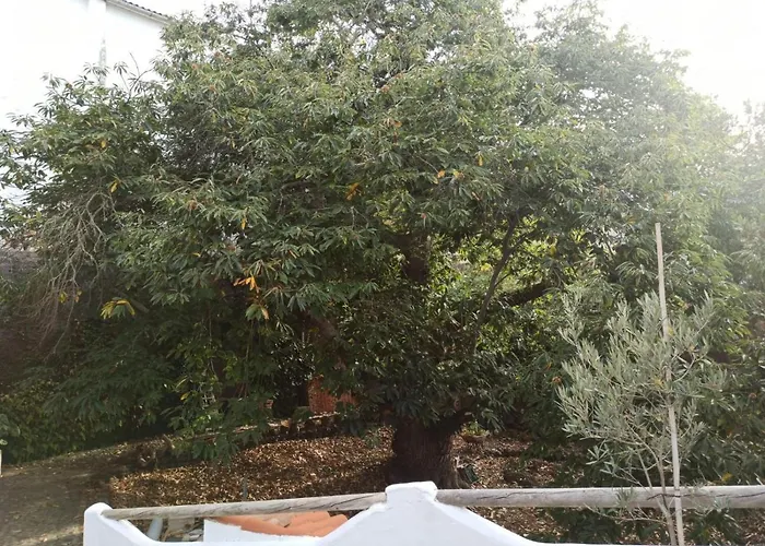 Casa El Comisario Lägenhet *