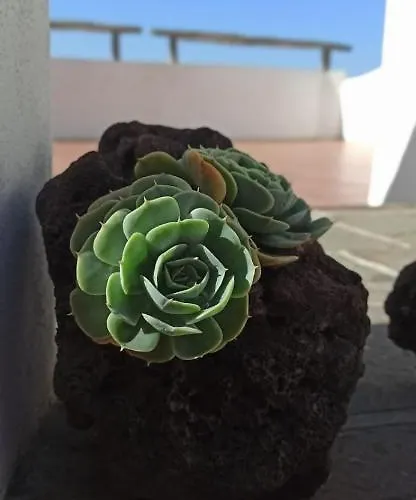 Lägenhet Casa El Comisario El Tanque