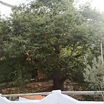 Casa El Comisario Appartamento *