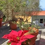 Casa El Comisario * El Tanque