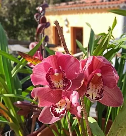 Casa El Comisario