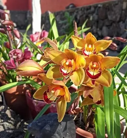 Casa El Comisario Apartmán